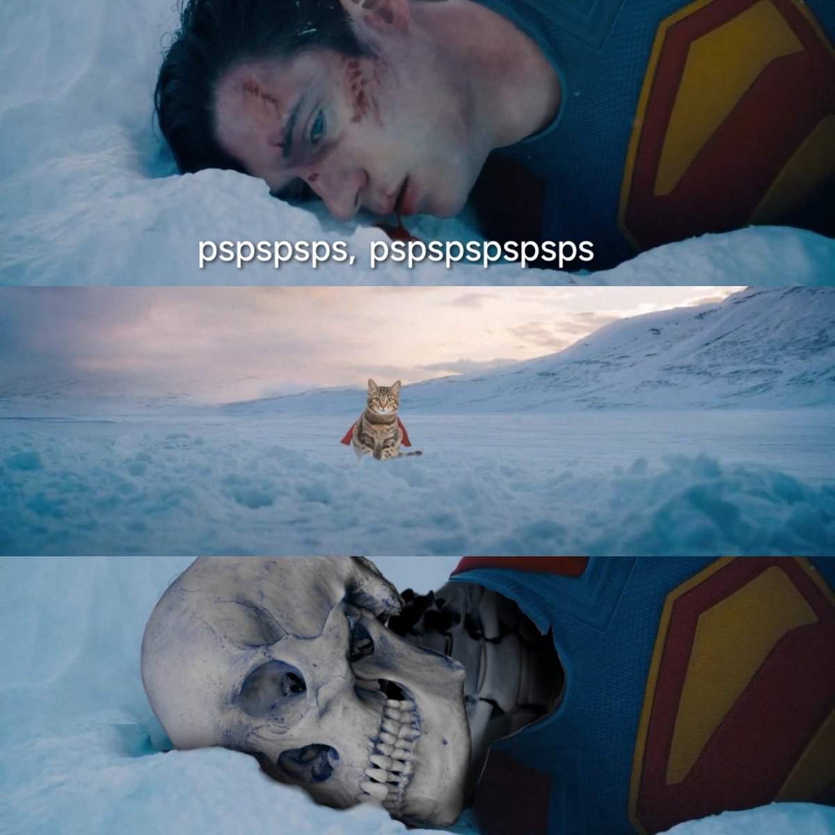 coveiro616's tweet photo. #SupermanMovie https://t.co/Ialo4Y7YQ0