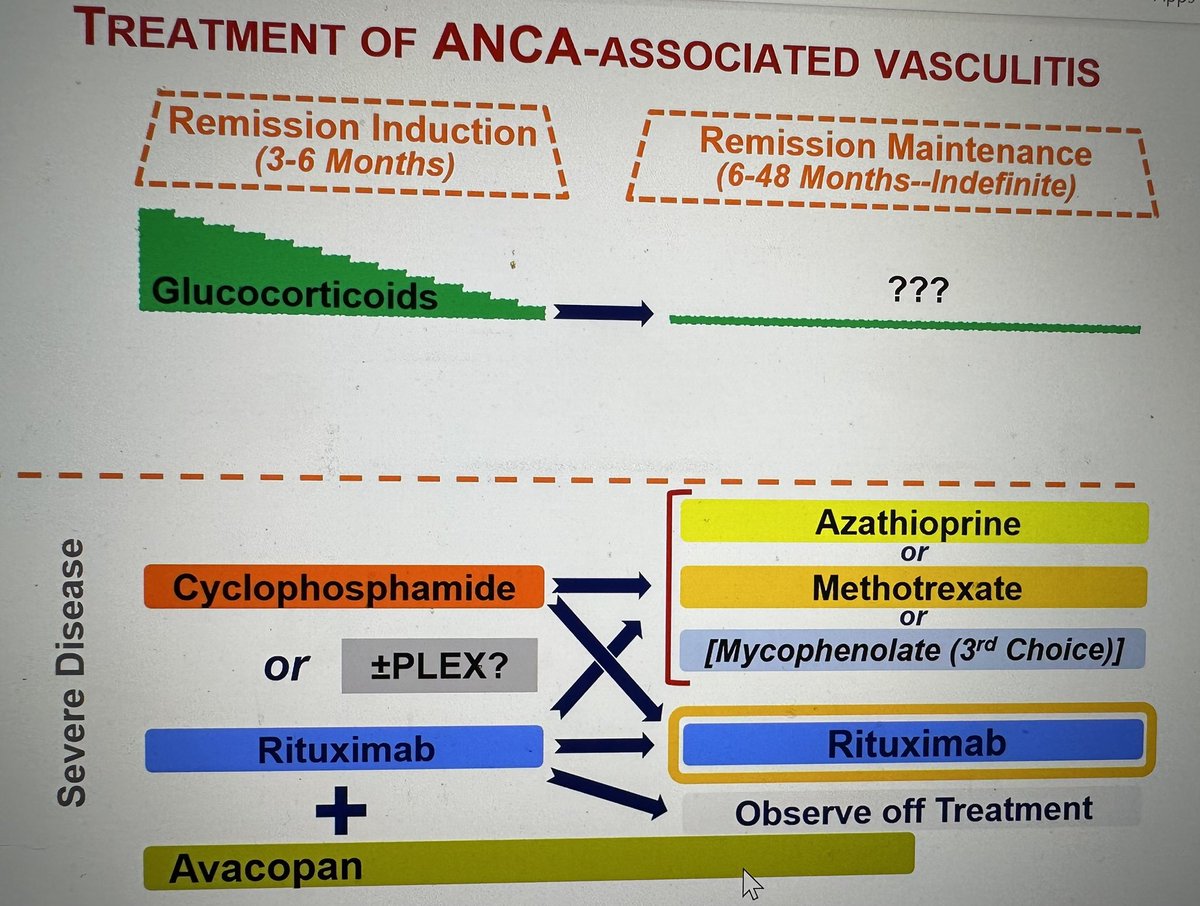UTSWRheum tweet media
