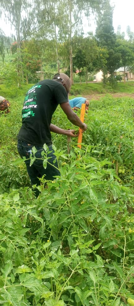 what is your contribution to making the community food secure?  as young researcher, climate smart agriculture is the way to go.
<a href="/4PillarGiveback/">4-PILLARNETWORK</a>
<a href="/AnthonyEmaru/">Anthony Emaru</a>
<a href="/ruforumsec/">RUFORUM</a>
<a href="/egeru81gmailco1/">Anthony Egeru PhD</a>
<a href="/NWMungai/">Nancy W. Mungai</a>