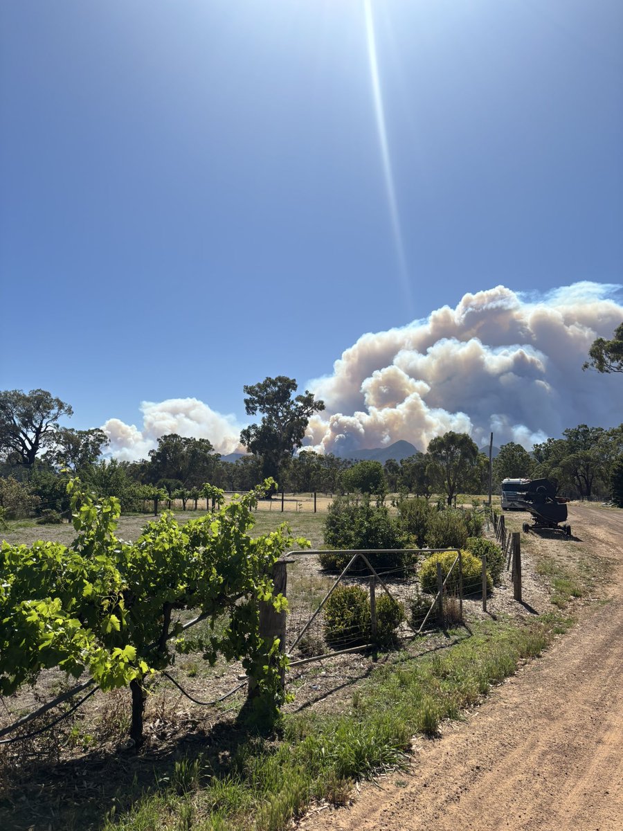 will crawford tweet media