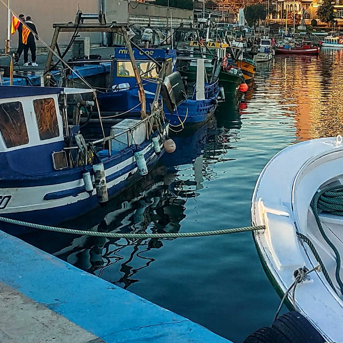 Cal_Tut's tweet image. Un altre món en perill d'extinció per culpa de la gestió política.

Igual que la pagesia, als nostres pescadors tambè els volen fer desaparèixer...😔

#pesca #pescador #peixfresc #gambavermella #27dies #extinction #fish #mar #llotja #peixeteria