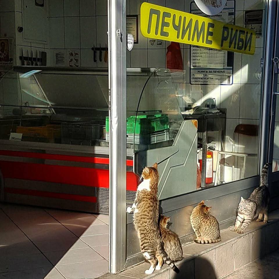 Легендарната слика.