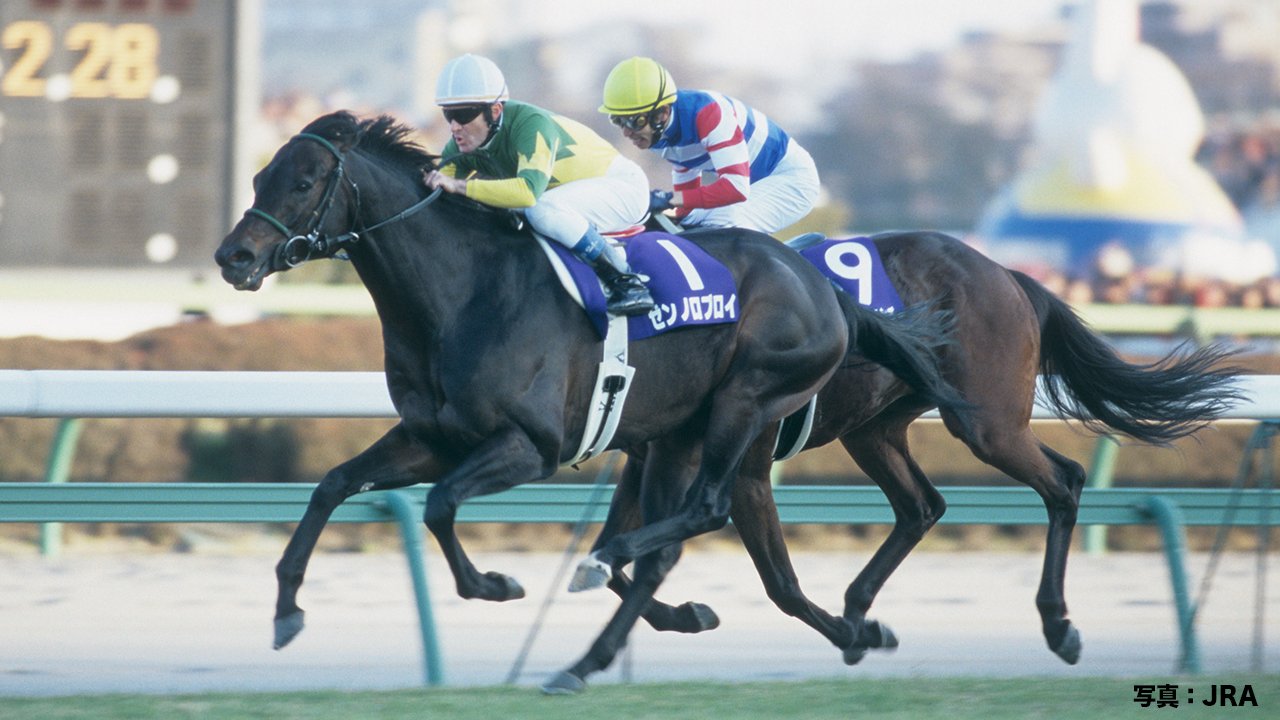 ◆　競馬　JRA　◆　ゼンノロブロイ　◆　有馬記念　◆　数量限定優勝シャツ　◆ ⑤◇ 競馬 JRA ◇ ゼンノロブロイ ◇ 有馬記念 ◇ 数量限定記念