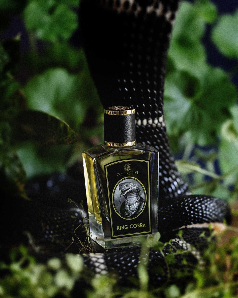 新商品】 Zoologist｜キング コブラ インドの森の奥深くに潜む冷酷な