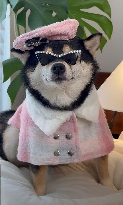 They see me rolling, they hating😎