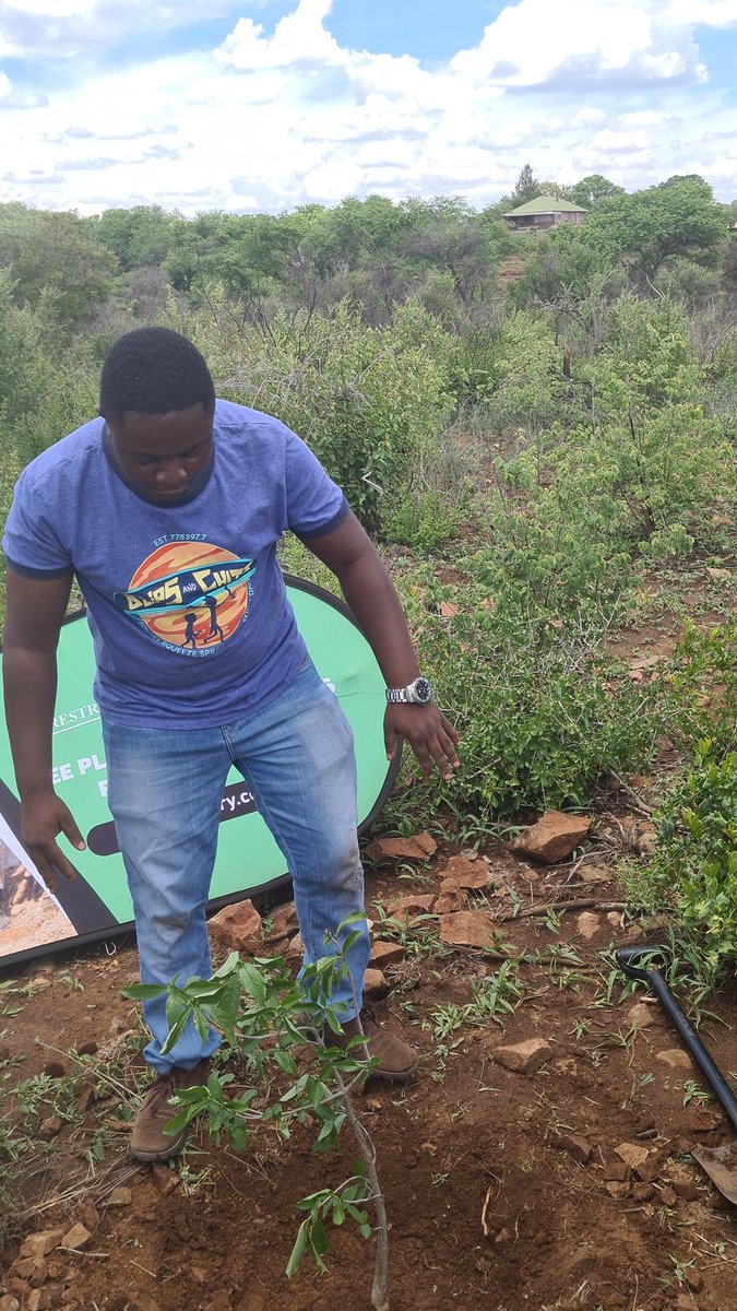 In a challenging world, planting a tree symbolizes hope, reflects faith in the future, and supports the planet, communities, and future generations.

<a href="/hut_green/">GreenHut</a>