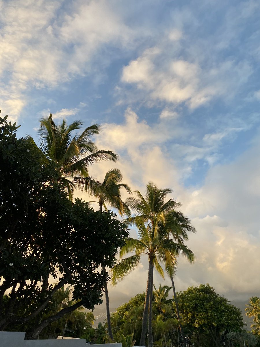 1210Kp's tweet photo. ハワイにお引越ししました。 https://t.co/oe8wXYPCMX