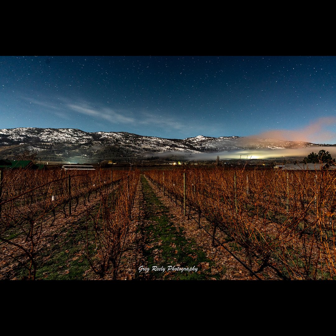 Greg_in_Osoyoos's tweet photo. Not my iPhone 16, but Sony mirrorless camera for this set of photos . Super clear skies, and a bright moon as my light source.  From Okanagan Falls to Osoyoos last night. December 18, 2024. 
#nightsky #astro #notiphone #okanagan #osoyoos #longexposure #moonlight #nightscapes https://t.co/TZnrraeZyM