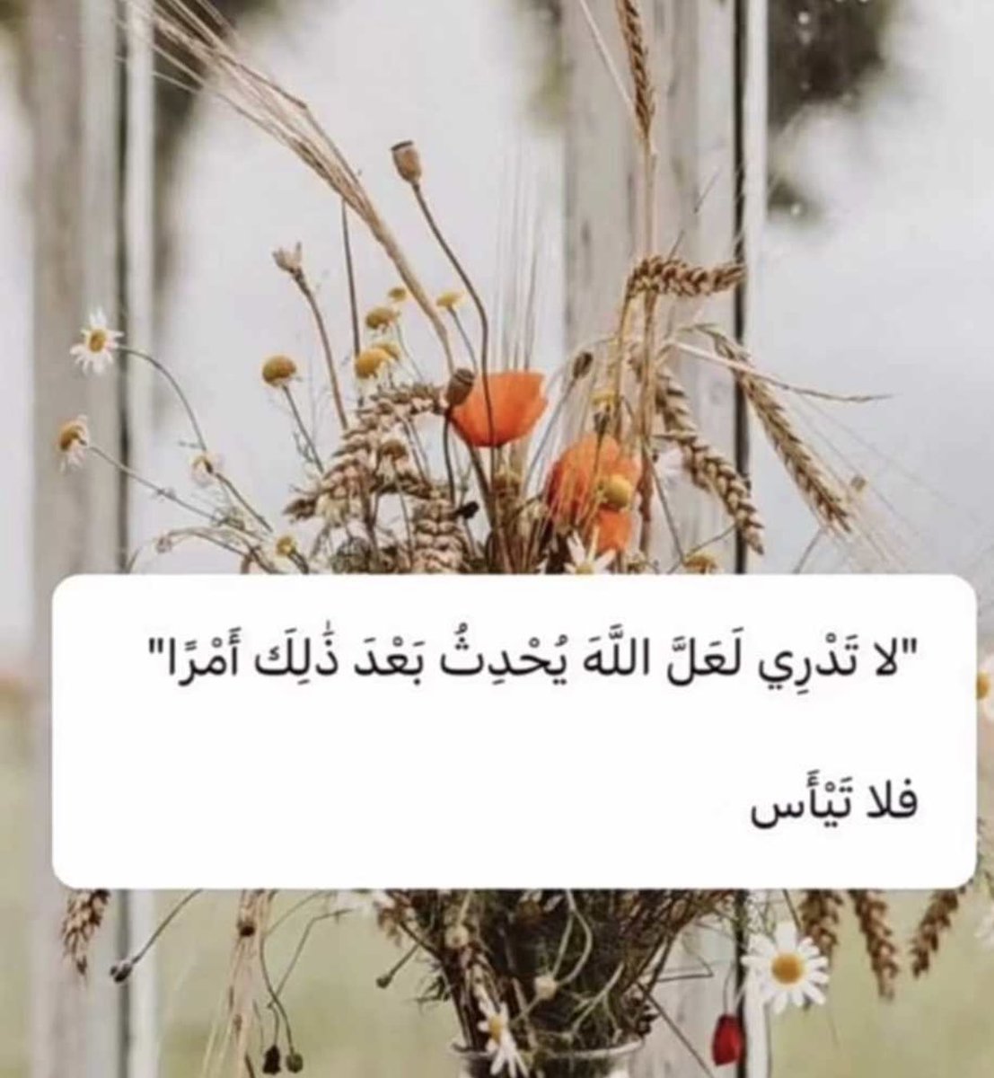 استشاري علاقات زوجية tweet media