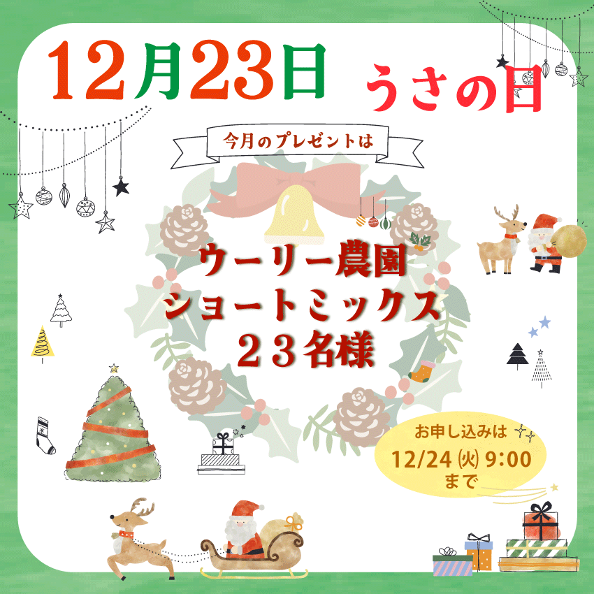 WOOLY（ウーリー） ㅣ うさぎの食彩工房 tweet media