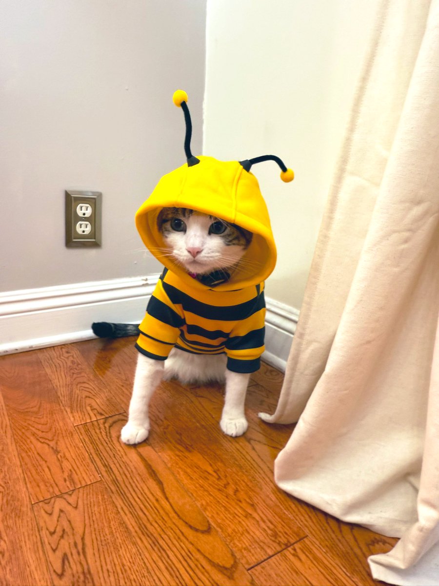 Not to be outdone by regular Transformers, Megatron decided to transform into Bumblebee