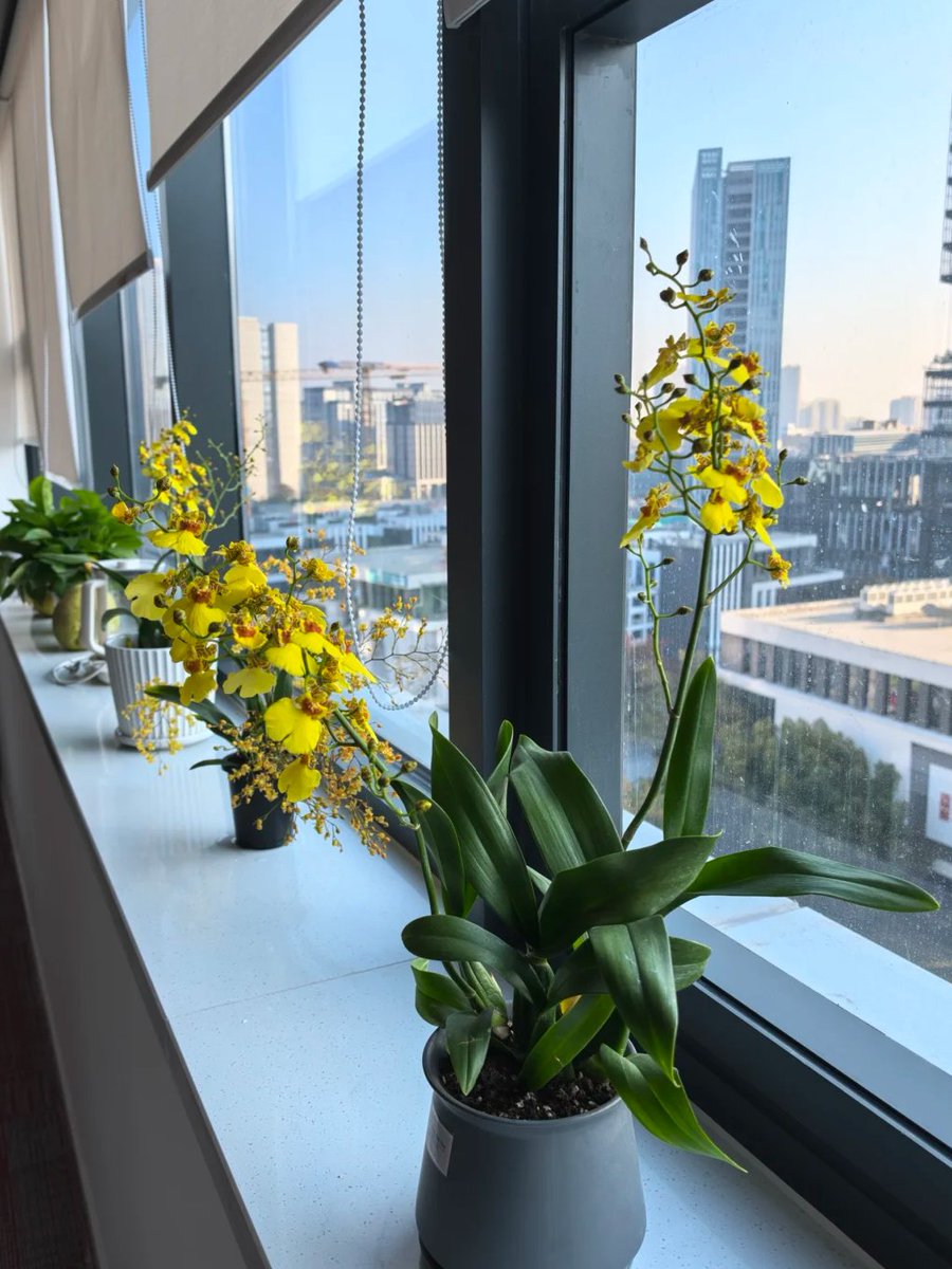 いい一日が始まりました🌤️