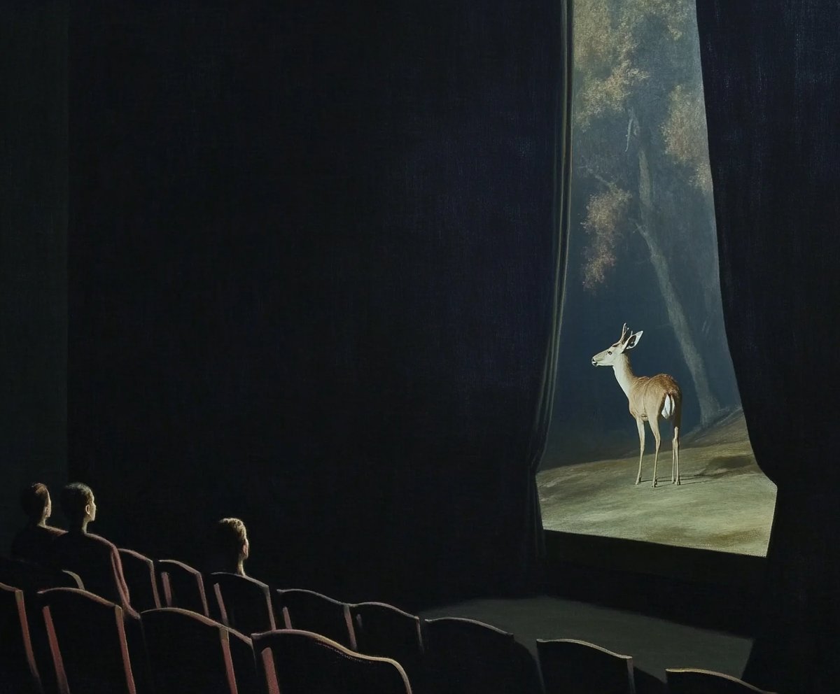 this is how it feels to be noticed.