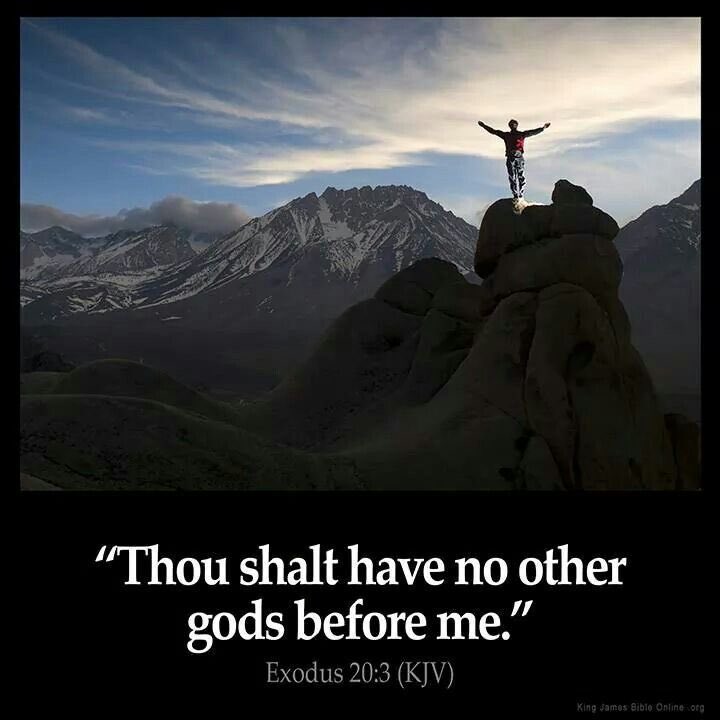 MattyButts1's tweet photo. Some of you MF’s on here need to get back to the basics. Be a leader, not a follower. Being a free thinker will set you free. https://t.co/qblKbChQgw