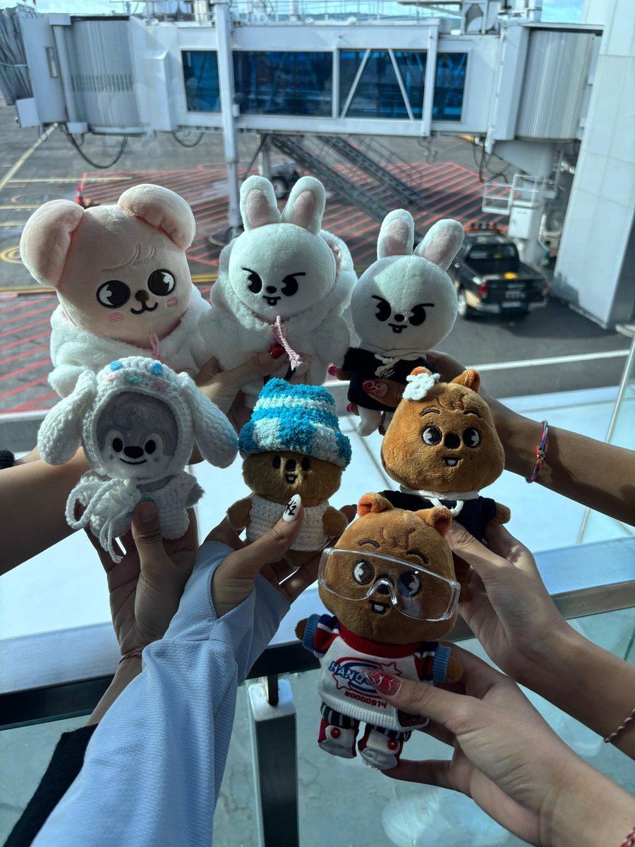 linovable's tweet image. ✈️❤️