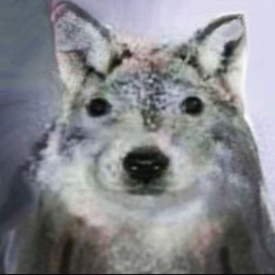 ghost17281 tweet media