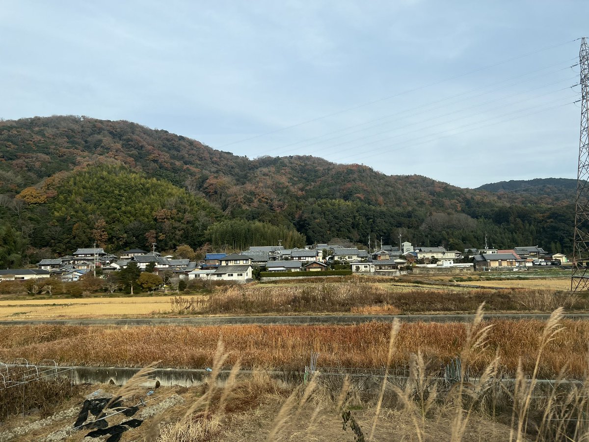 aloemanchan's tweet photo. 紅葉きれー！季節感バグる https://t.co/BhllPBFnid