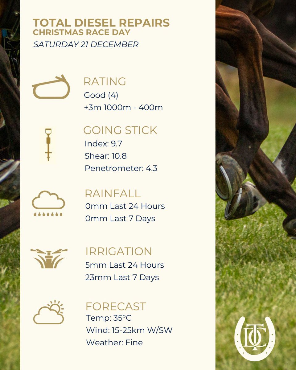 The track report ahead of Saturday's Total Diesel Repairs Christmas Race Day!