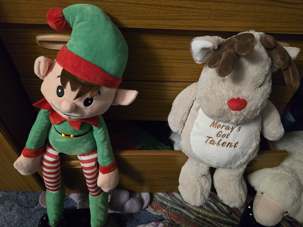 Roxie and Sparkle are closing the xmas jumper shop for 2024