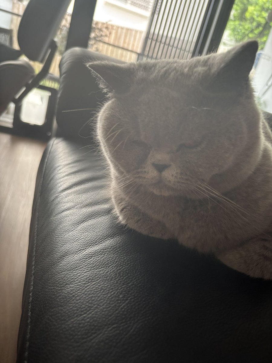 Smoosh ❤️ aka Meeka