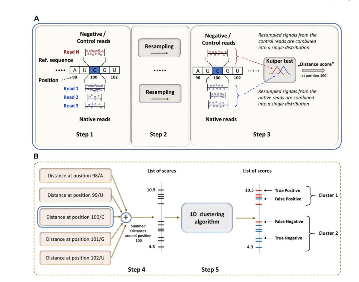 benagen3571's tweet photo. a novel tool! Detecting a wide range of epitranscriptomic modifications using a nanopore-sequencing-based computational approach with 1D score-clustering #nanopore #epitranscriptomic
https://t.co/CYJJcPR7Lk https://t.co/qT3wnwWa9A