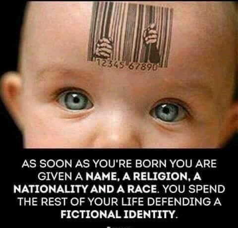 Niclas Q tweet media