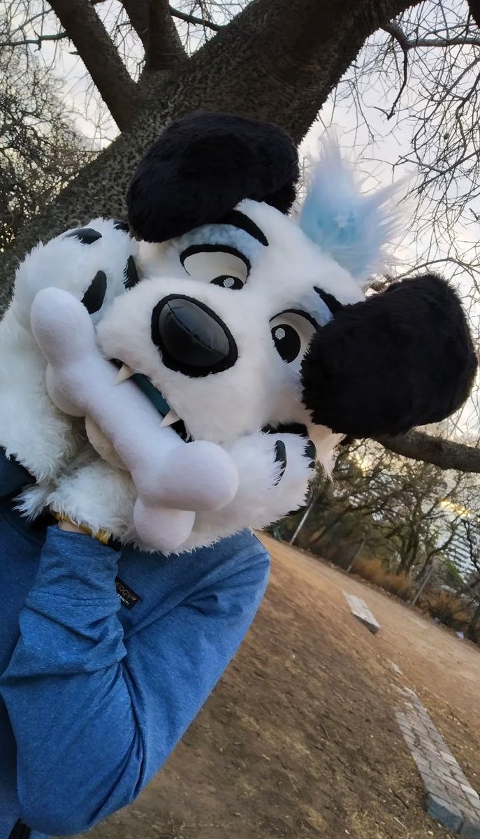 theruskyfactory's tweet photo. Ezito, dálmata, hecho en 2019 y actualizado en 2022! 🐶

- Parcial (Head, cola y manos) 🪡🧵 https://t.co/Mv59kv25X6