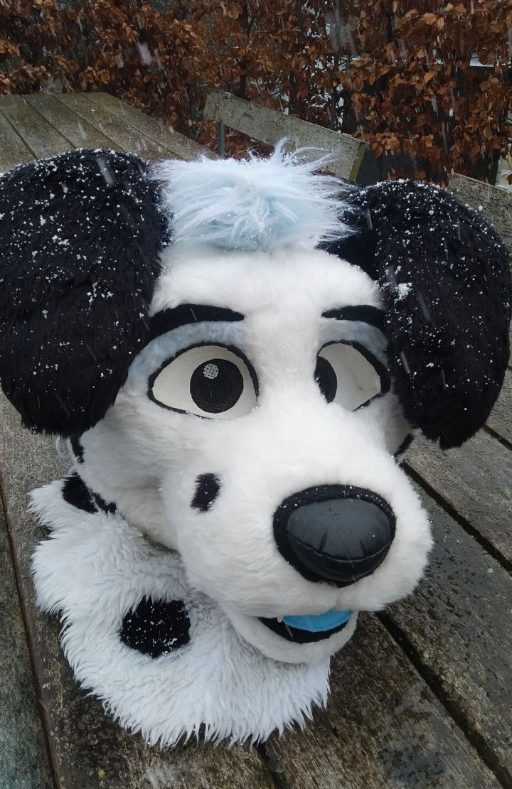 theruskyfactory's tweet photo. Ezito, dálmata, hecho en 2019 y actualizado en 2022! 🐶

- Parcial (Head, cola y manos) 🪡🧵 https://t.co/Mv59kv25X6