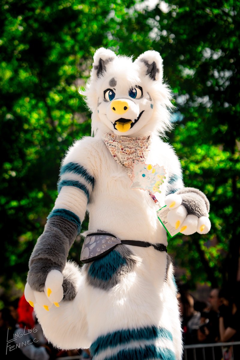 why's he always so 🏳️‍🌈 with his paws?

📸: linglingfennec
🪡: <a href="/9LIVES_fursuits/">🌈 9 LIVES // fursuits</a>