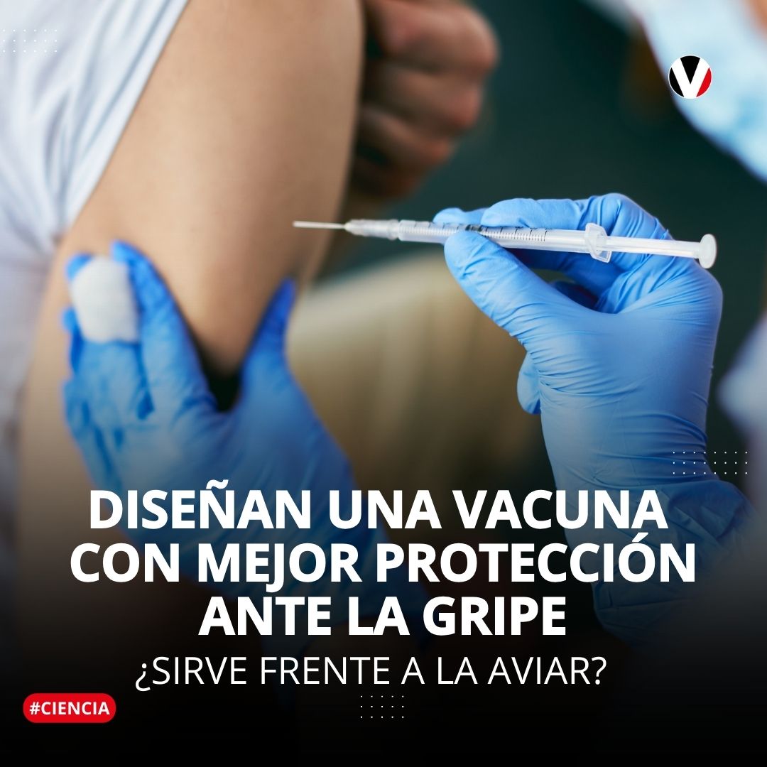 revistavistazo's tweet photo. #CIENCA | Un grupo de investigadores ha diseñado un método para aumentar la eficacia de la vacuna frente a la gripe estacional, y ha comprobado su efectividad frente a otras variantes. ▶️ https://t.co/AYFXBg6ztl https://t.co/Q6ewMIUsUx