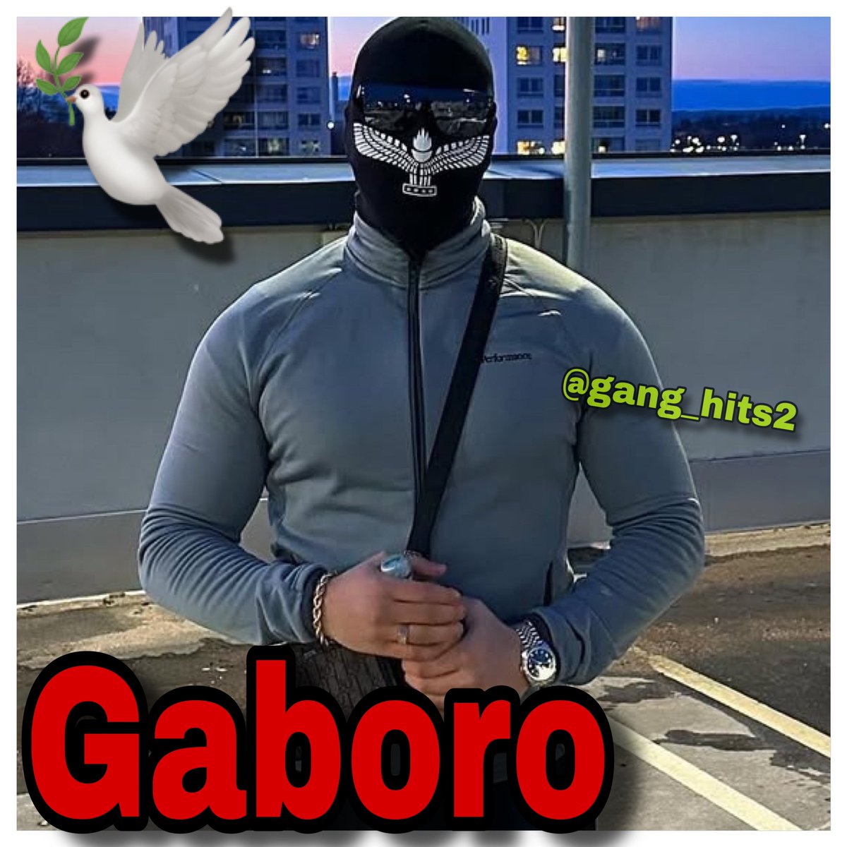 Gang Hits tweet media