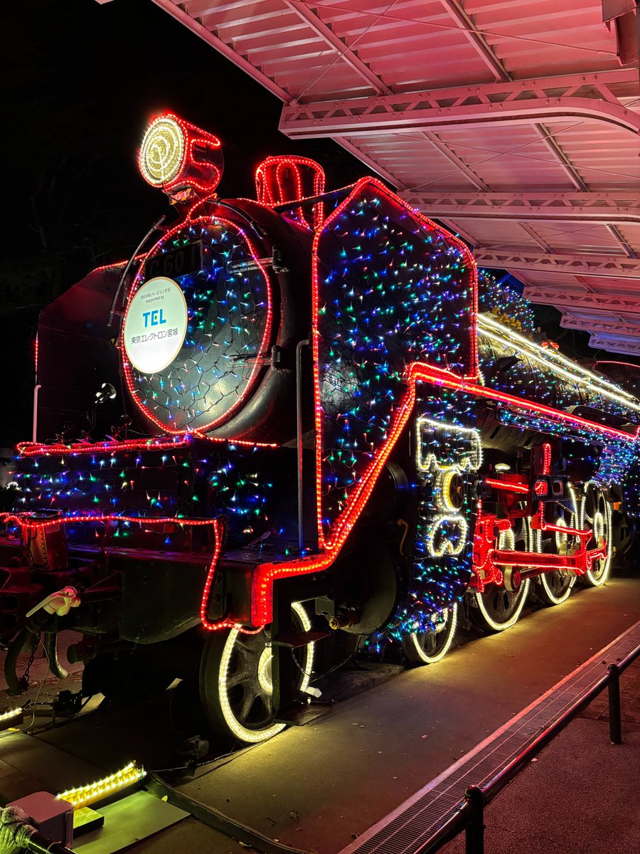 #光のページェント 点灯区間の先にある西公園には「スターライト☆キャッスル」が設置されています🏰
お城の中にはキラキラのクリスマスツリーや馬車が✨300円以上の募金でもらえる「ひかリング」を付けていると入場できます。
お馴染みのSLも今だけキラキラ仕様です♪
ぜひ訪れてみてください😊