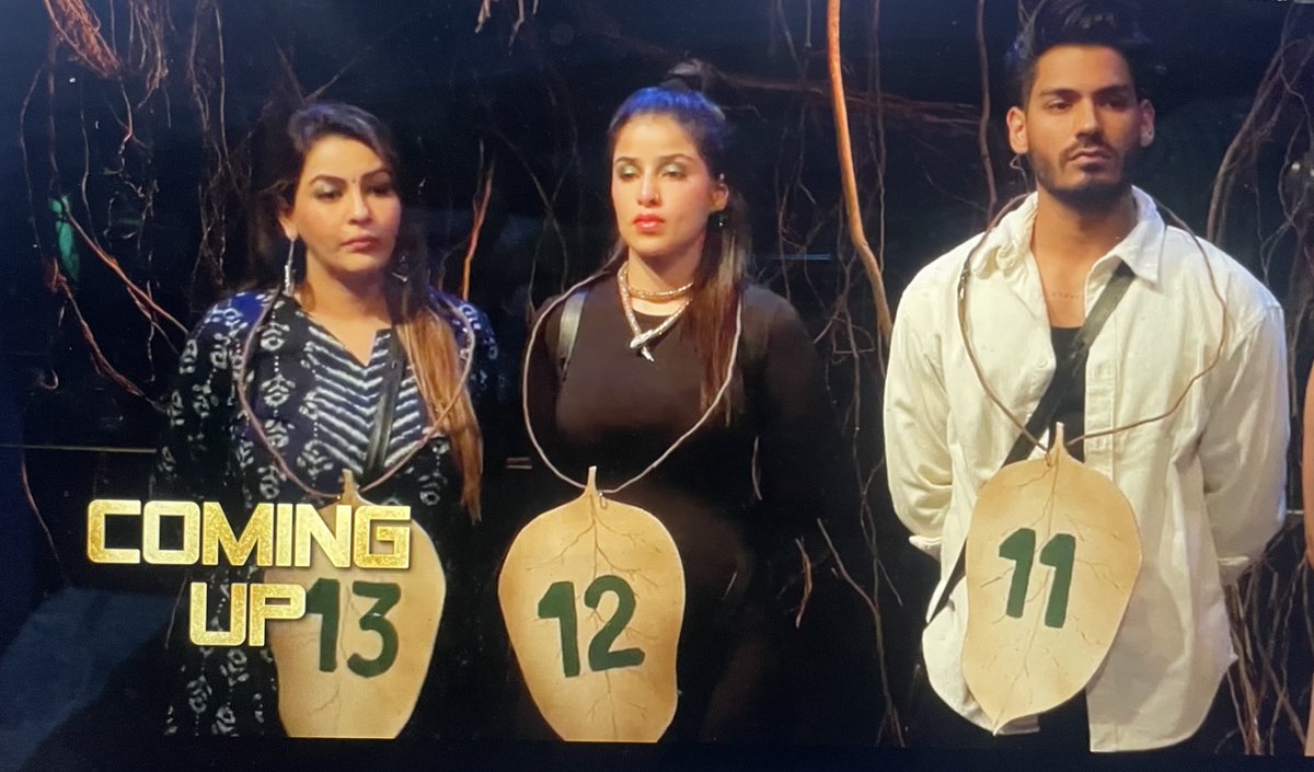 PriyaUva's tweet photo. Absolutely devastated by #DigvijayRathee eviction from #BiggBoss18. This has got to be the most unfair exit in #BB18 history! Was it all planned? 😭 #justicefordigvijay #BiggBoss18 https://t.co/z9PlSnWiMV
