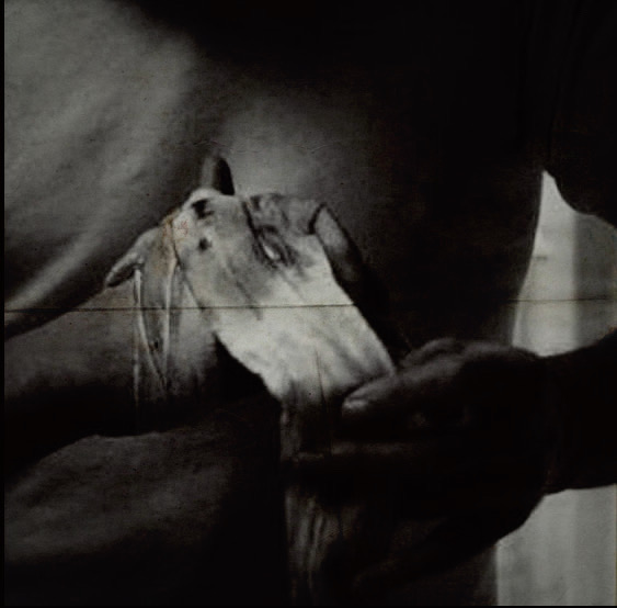 ⇀
            𝐗𝐚𝐧𝐝𝐞𝐫 𝕳𝖆𝖗𝖌𝖗𝖔𝖛𝖊                                    
                      𝓐𝓷𝓭𝔂                            ↼