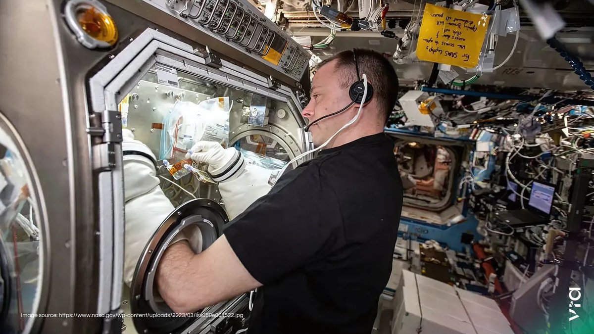 ViaSpaceHC's tweet photo. As part of @NASA’s Crew-9 mission, astronaut Nick Hague is conducting groundbreaking health research aboard the International Space Station, focusing on countering vision disorders like SANS (Spaceflight Associated Neuro-ocular Syndrome) up in space. https://t.co/Z224GUvri1