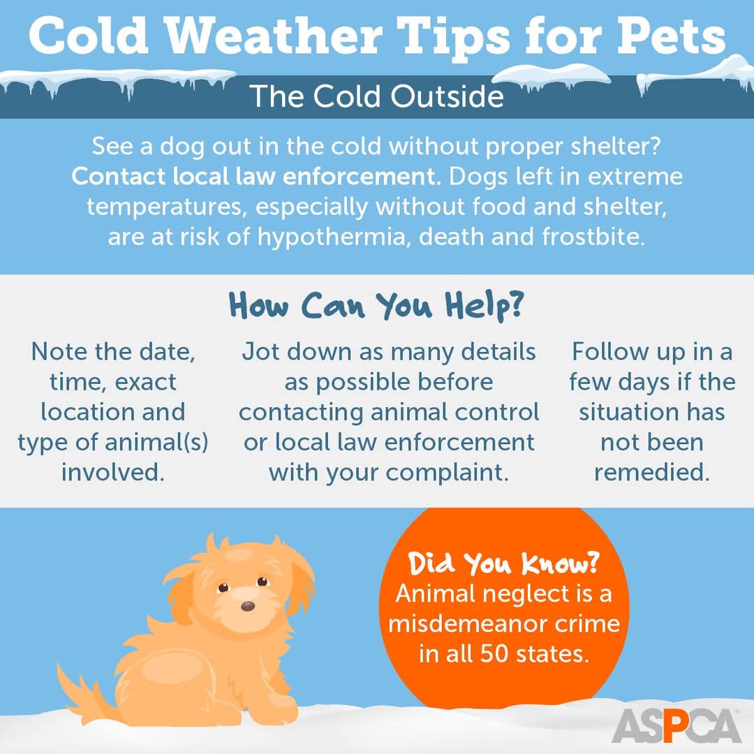 SoDakFACT's tweet photo. Please keep your animals safe &amp; contact the owner or local law enforcement right away if you see an animal in distress. 

#AnimalWinterSafety #IfYouSeeSomethingSaySomething #ReportAnimalNeglect #BringPetsInside #SoDakFACT

@ASPCA graphic https://t.co/yyBkqpDUwj