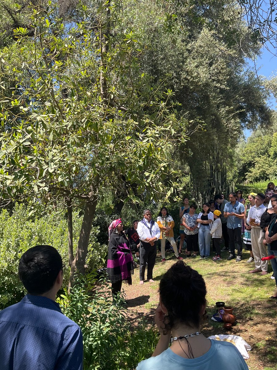 Mañun 💚 Registros de cierre de Koneltun en #Santiago