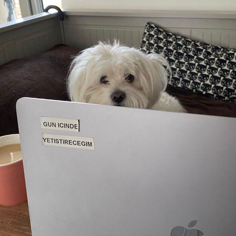 ANLIK (@anlikmod) on Twitter photo 