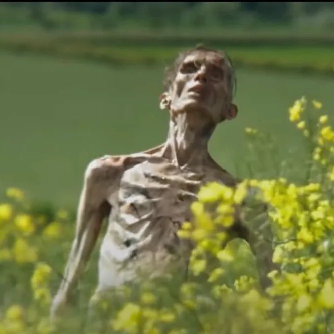 horroresia's tweet photo. ‘28 Years Later: The Bone Temple’ judul untuk sekuel ‘28 Years Later’ dijadwalkan tayang 16 Januari 2026 ☣️ | (Sc: Variety) https://t.co/HggT1d4RjK