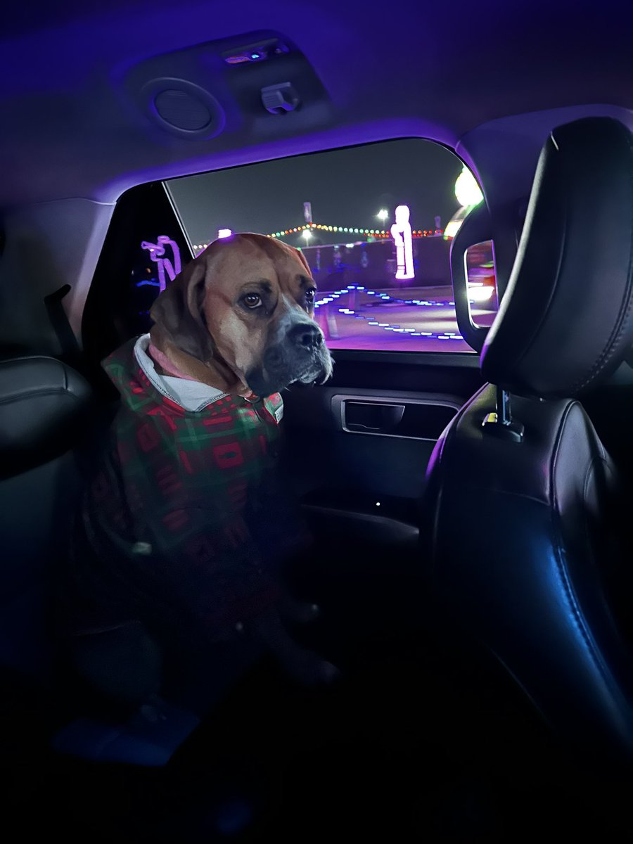 Took Otis and Baylee to see Christmas lights!