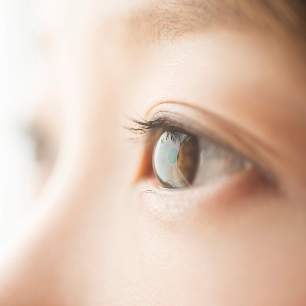 kanto_shutter's tweet image. 1月3日は【ひとみの日】
目の健康について考える日です。
日頃の目の健康管理で気を付けていることはありますか？👀 

#ひとみの日 
#目の健康 
#今日は何の日 
#企業公式相互フォロー 
#がんばろう企業公式