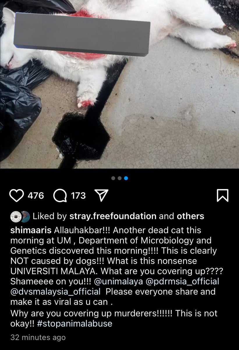 itsybitsymin's tweet photo. someone is doing it for fun for sure. Taunting all of u. 

Terbaik ah UM covering up this shit. https://t.co/bKuJYK4fTx
