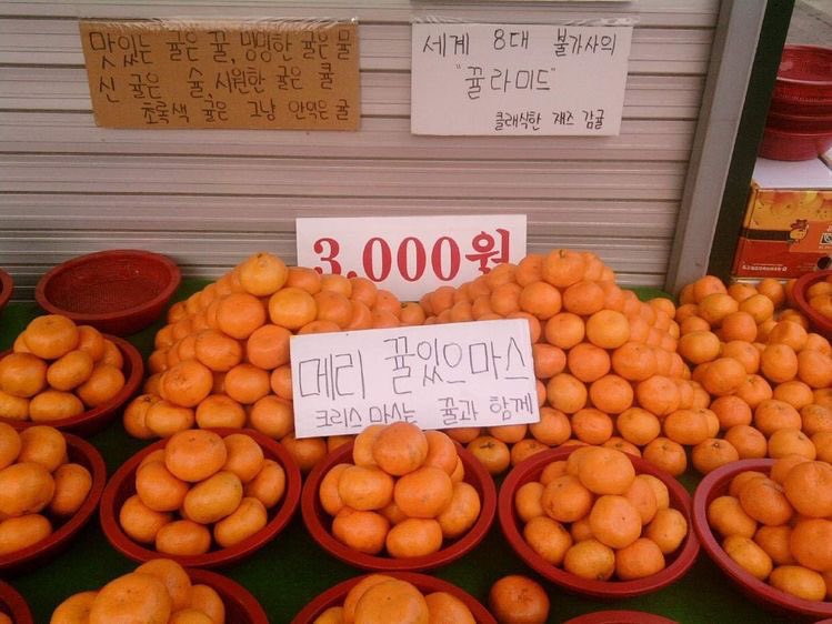 chaak_me's tweet photo. 다들 슬슬 이 짤 꺼내기 시작하던데ㅎㅎㅎㅎ
혼자 크리스마스 보내는 친구한테 붙여주면 더 상큼해짐🍊

스티커로 노는 외롭지 않은 플랫폼, 착! 𝘾𝙃𝘼𝘼𝙆
https://t.co/8nY3khdNPI https://t.co/9usv4Gf0g2