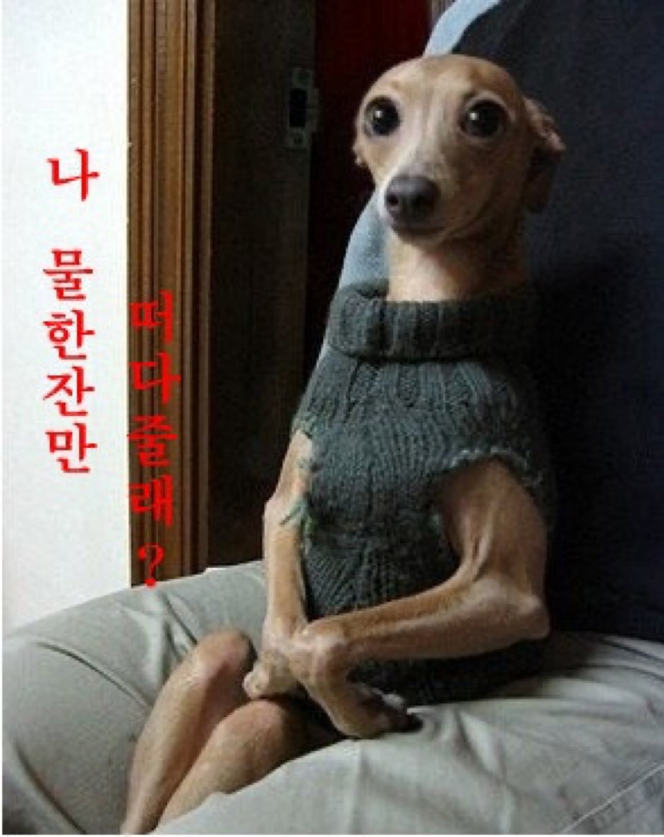이거 필륵스