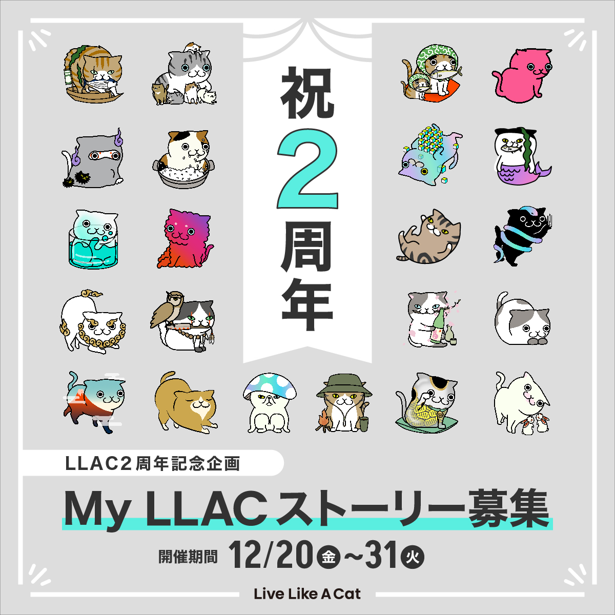 LLAC22222's tweet photo. ＼㊗️LLAC2周年・記念企画🐈／
トークンもプレゼント🎁

【My LLACストーリーを大募集します！！】
テーマ『あなたが思う「猫のように生きる」とは？』

12/28はLLACがローンチして2周年の記念日です🐈
どなたでも参加OK！
一緒にLLAC2周年盛り上がりませんか？🎉

また、投稿してくれた方にはLLACトークンをもれなくプレゼントします🎁

◎トークン付与条件
・Xで投稿→XのポストリンクをFiNANCiEの「MyLLACストーリー」に貼付…2トークン
・FiNANCiE「MyLLACストーリー」部屋に投稿…1トークン

◎開催期間
12/20（金）〜 12/31（火）23:59まで

◎お願い
・このポストを引用または #LLAC をつけて投稿をお願いします。
・他の人が書いたMyLLACストーリーを読んで、感想やトークン贈りなどでぜひ交流してみてください🐈

おかげさまで2周年😺盛り上がって参りましょう！
たくさんのご参加お待ちしています！