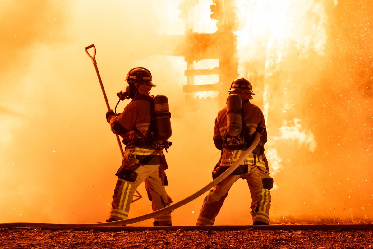 Dr. Paula Burns tweet media