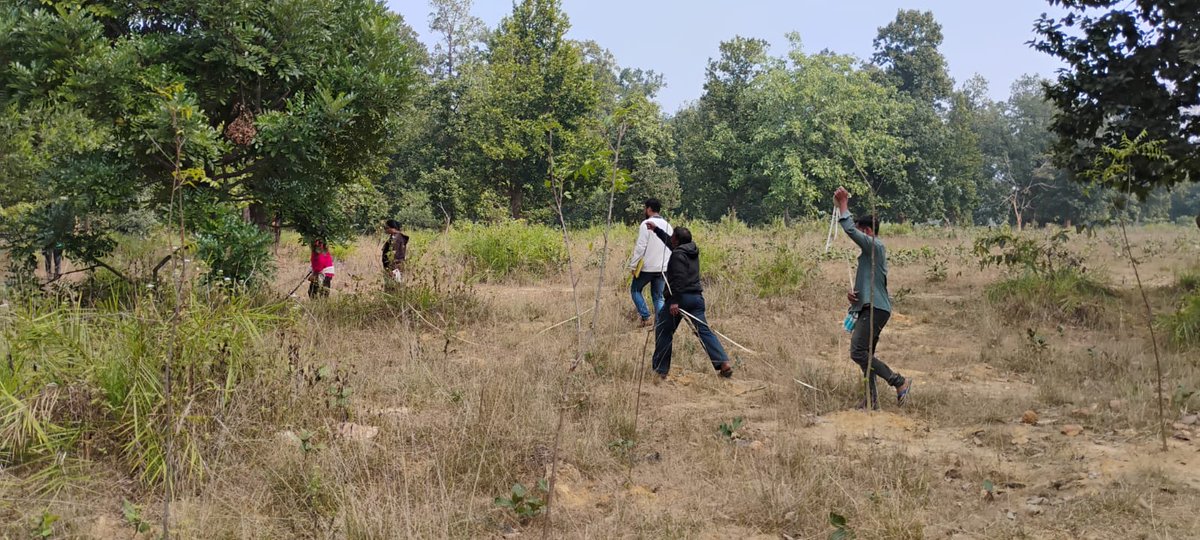 DfoSundargarh's tweet image. #PerformanceAudit

A team of Auditors from Efficiency Audit Organization, Finance Department &amp;amp; DMU level committee members visited Salbira, Chhamunda &amp;amp; Latalaga VSS of Bargaon FMU &amp;amp; verified the survival status of ANR, Fuel Fodder &amp;amp; NTFP plantation sites.
#OFSDP-II
@ForestDeptt