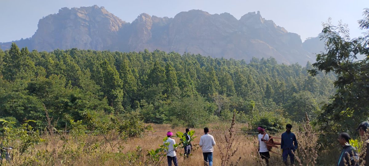 DfoSundargarh's tweet image. #PerformanceAudit

A team of Auditors from Efficiency Audit Organization, Finance Department &amp;amp; DMU level committee members visited Salbira, Chhamunda &amp;amp; Latalaga VSS of Bargaon FMU &amp;amp; verified the survival status of ANR, Fuel Fodder &amp;amp; NTFP plantation sites.
#OFSDP-II
@ForestDeptt