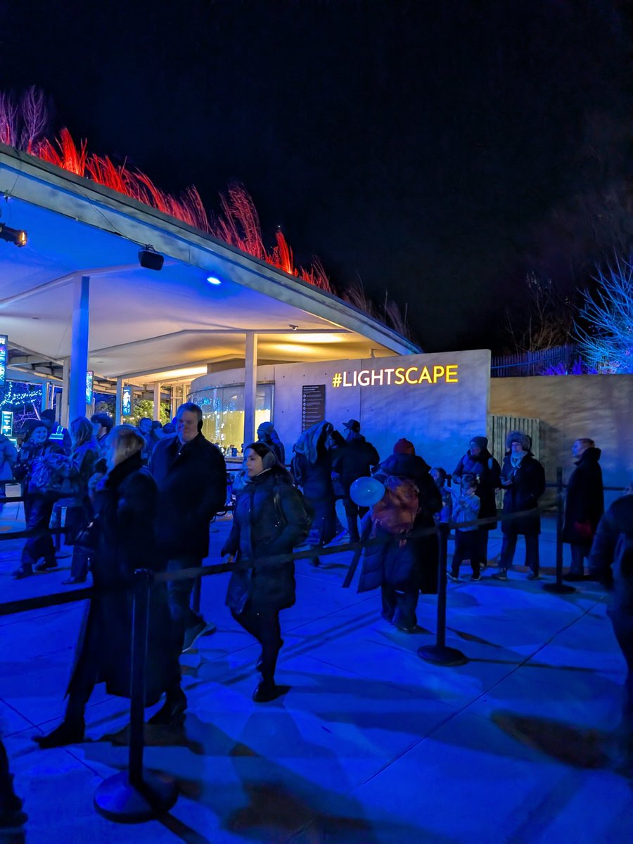 Eli Lever tweet media