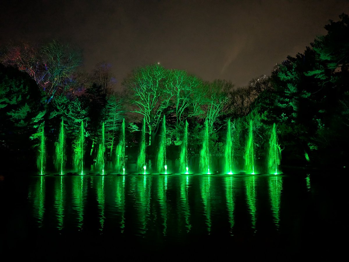 Eli Lever tweet media